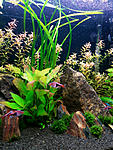 DSCN2403