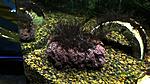 DSCF5212