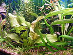 DSCF9014
