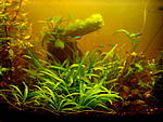 IMG 20140105 091923