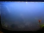 IMG 4298