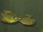 IMG 4686