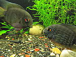IMG 4691