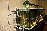 20140114 IMG 4053