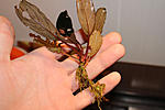 IMG 4344