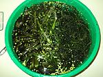 DSCF7168