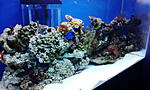 IMG 20140118 174354