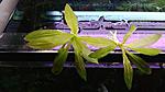 WP 20120902 047