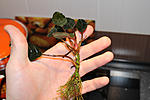 IMG 4346