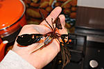 IMG 4345