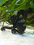 IMG 3671