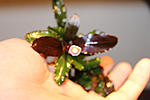 IMG 4349