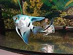 DSC00294(800600)