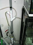 IMG 1281