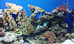 IMG 20140118 174420