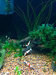 IMG 4348