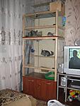 IMG 1476