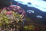 DSC01103
