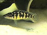 DSC01507
