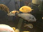 DSC01464