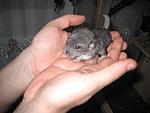 IMG 1459