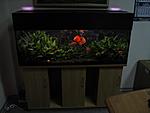 IMG 4372