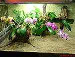 DSC00313