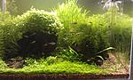 IMAG0671