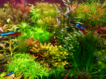 Aquatank..