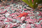 DSC 1276