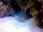 CameraZOOM 20140129112526323