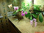DSC00298