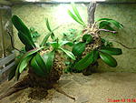 DSC00198