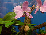 DSC00247