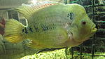 IMG 8034