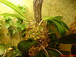 DSC00324