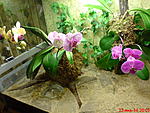 DSC00321