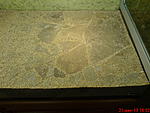 DSC00189