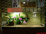 DSC00326
