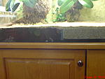 DSC00194
