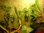 DSC00322