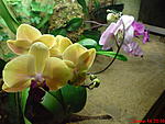 DSC00317