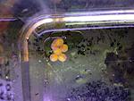 IMG 0900[1]