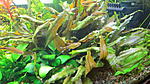 IMG 6149[1]
