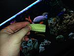 IMG 0750[1]