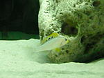 RSCN1628