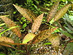 IMG 3773[1]