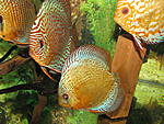 IMG 3752