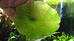 IMG 6142[1]