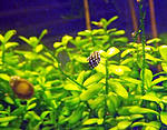 DSCF0036